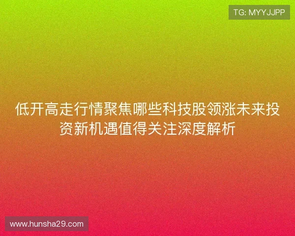 低开高走行情聚焦哪些科技股领涨未来投资新机遇值得关注深度解析